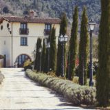 Wedding Villas. The cypress driveway of Baroncino Exclusive weddings villa Italy