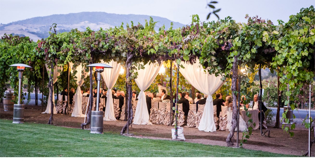 Italian Vineyard Wedding 1