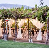 Italian Vineyard Wedding 1